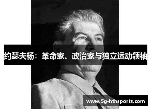 约瑟夫杨:革命家、政治家与独立运动领袖